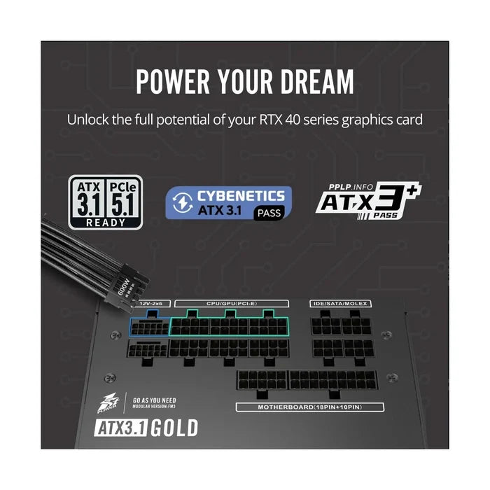 1st Player NGDP 850W 80 Plus Gold Fully Modular PSU - PakByte Computers