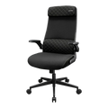 Cougar Stryder Ergonomic Chair - Black