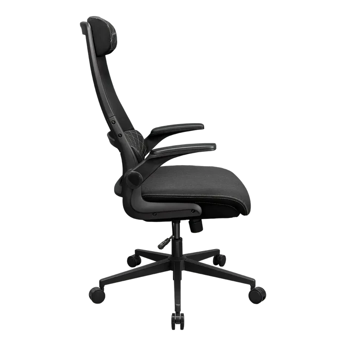 Cougar Stryder Ergonomic Chair - Black