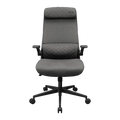 Cougar Stryder Ergonomic Chair - Gray