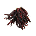 Brindisa Guindilla Pepper Ristra - String of 30 Ingredients Herbs & Spices Dried Chillies Spanish Food