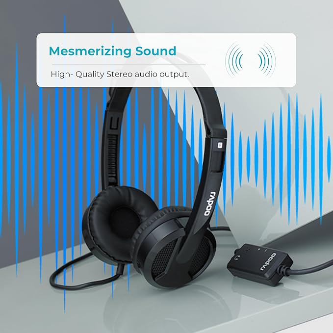 Rapoo H120 USB Stereo Headset