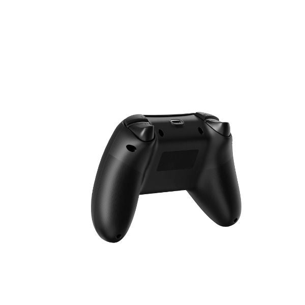 RAPOO V600SE Dual Mode Vibration Gamepad - Black