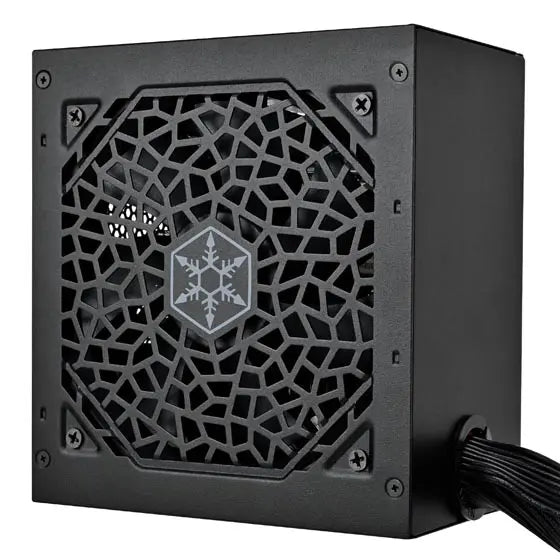 SilverStone Triton 850Rx Cybenetics Gold 850W PCIe 5 ATX 3.1 Power Supply - PakByte Computers