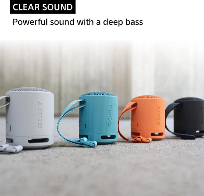 Sony SRS-XB100 Wireless Bluetooth Portable Speaker - Blue - PakByte Computers