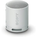 Sony SRS-XB100 Wireless Bluetooth Portable Speaker - Light Gray - PakByte Computers